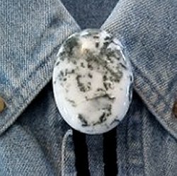 Naked Tree Agate Bolo Tie