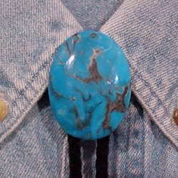 Naked Turquoise Bolo Tie