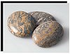 Leopardskin Jasper