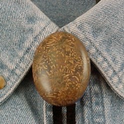 Naked Chrysanthemum Stone Bolo Tie