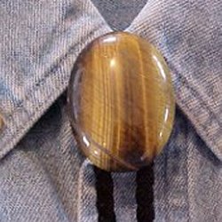 Naked Tiger Eye Bolo Tie