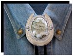Tree Agate Horseshoe Design Bolo Tie