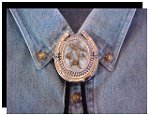 White Calcite Horseshoe Design Bolo Slide