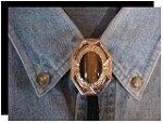 Tiger Eye Bezel Edge Bolo Tie
